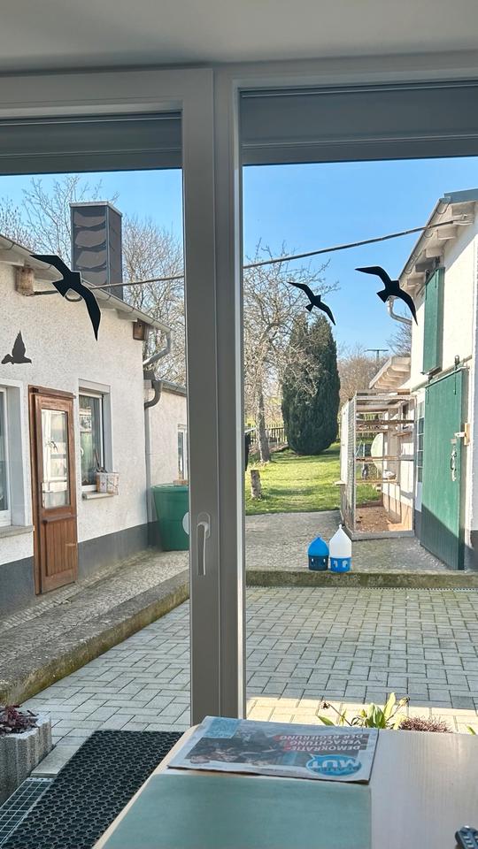 Thumbnail-Einfamilienhaus mit Grundstück und Nebengebäuden