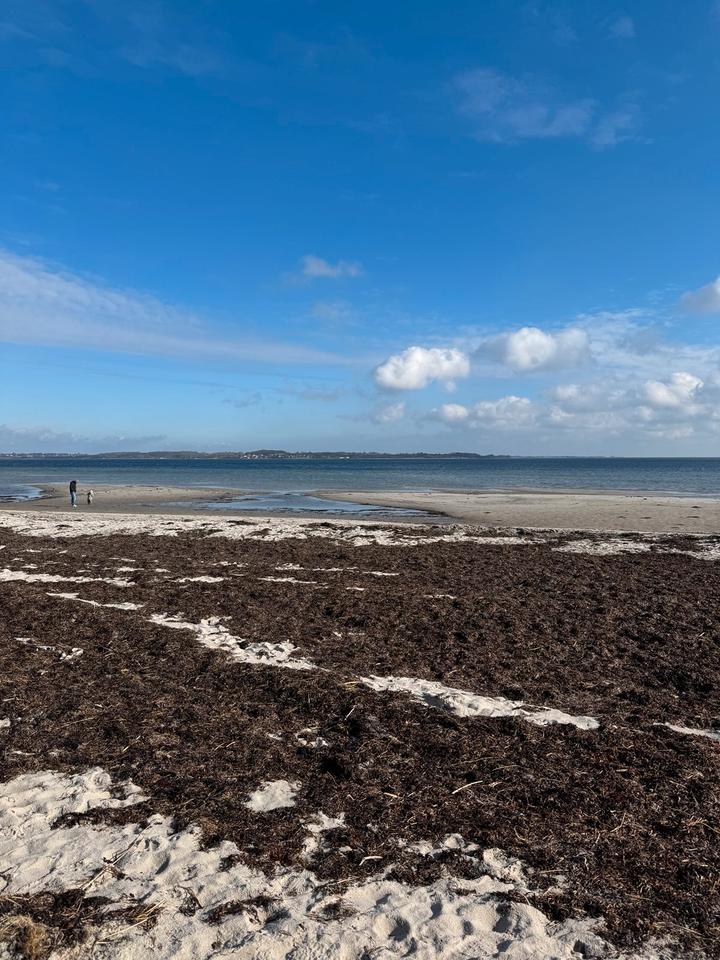 Thumbnail-Befristete möblierte Zwischenmiete