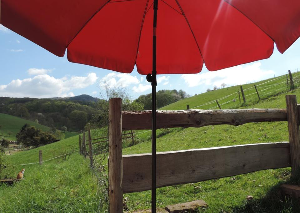 Thumbnail-Frühbucherrabatt für 1-3 Pers. im GEO-Naturpark Odenwald