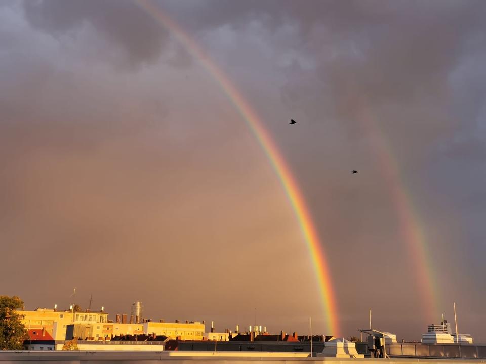 Thumbnail-Attraktives Investment: Zwei gepflegte 1-Zimmer-Wohnungen im selb