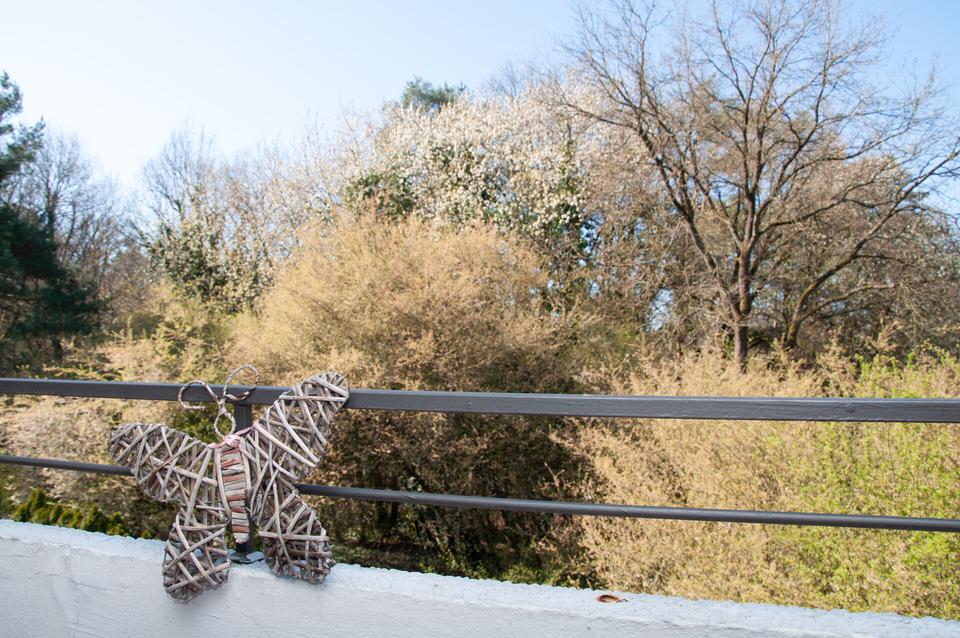 Thumbnail-Schöne 3-Zimmer-Wohnung mit Ausblick ins Grüne 2.OG, Offenbach Bieber