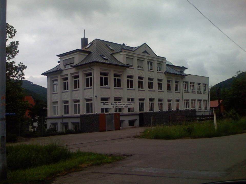 Thumbnail-LOFT-Wohnung in alter Fabrik mit eigenem Hofraum und Garten