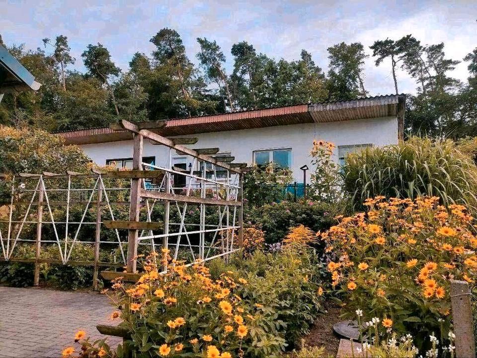 Thumbnail-Bungalow am Malchiner See