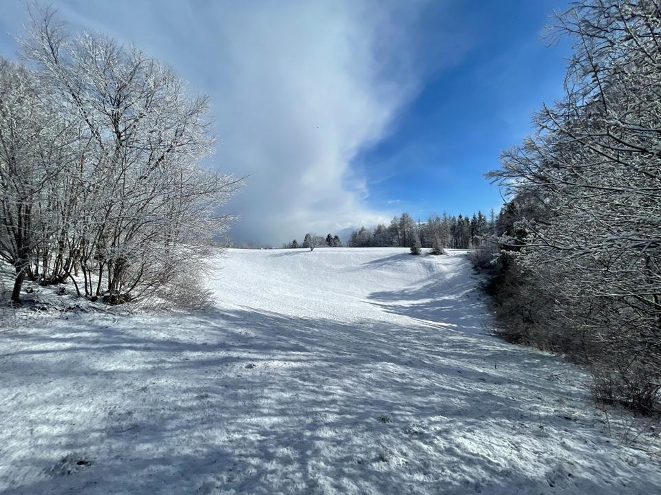 Thumbnail-Ferienwohnung Harz Braunlage Hohegeiß - Hund - Schwimmbad - Sauna