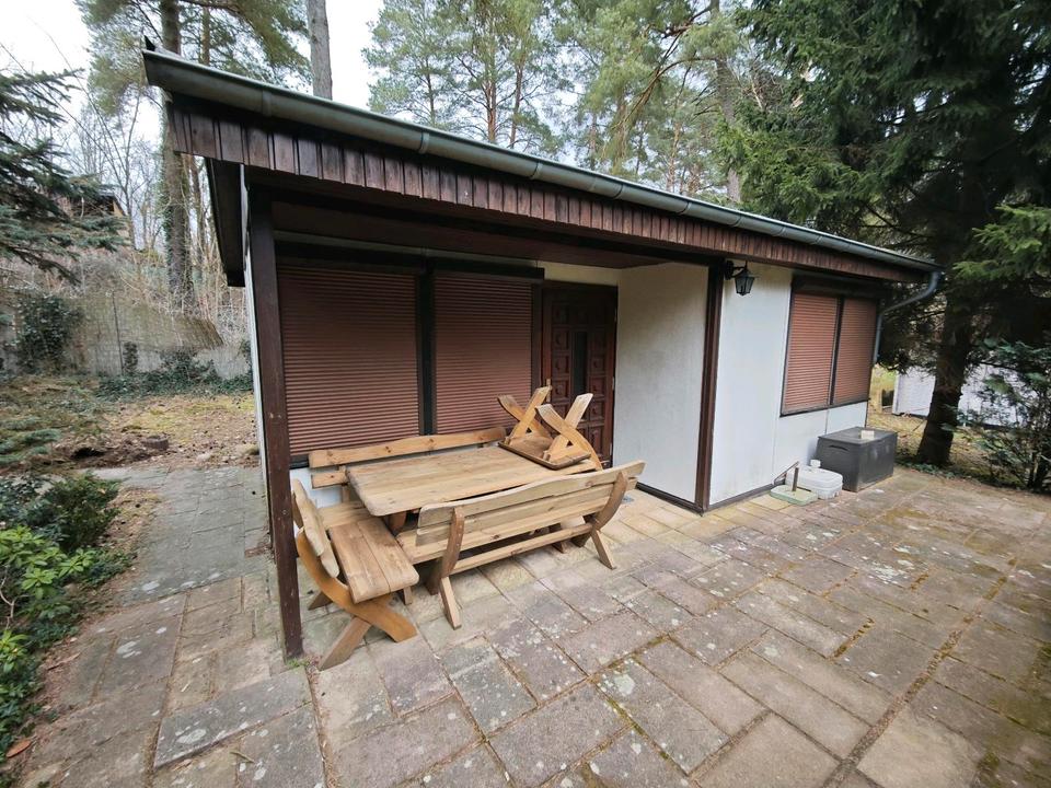 Thumbnail-Pachtgrundstück Bungalow Schorfheide Waldgrundstück Garten