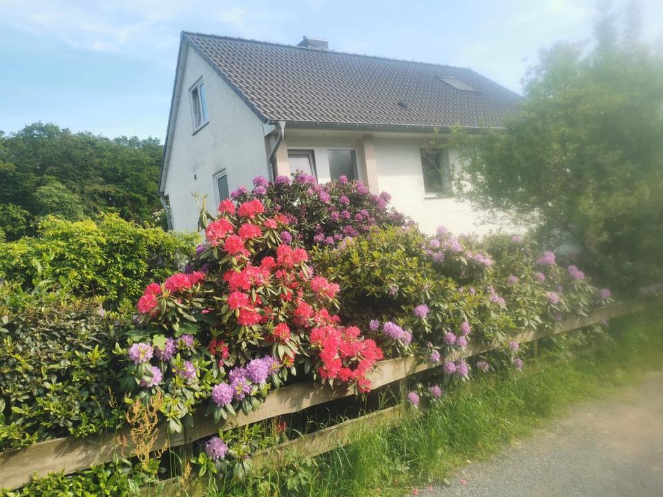 Thumbnail-Speckrand Köln Einfamilienhaus im Bergischem Randgrundstück 900m²