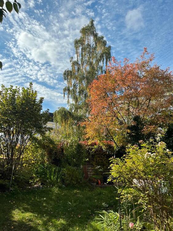 Thumbnail-Großzügige Wohnung mit herrlichem Garten in begehrter Lage