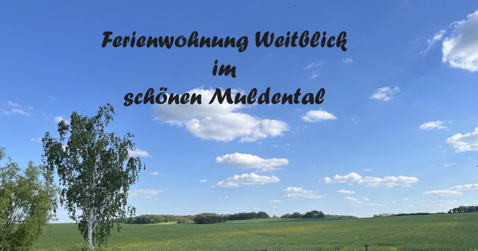Thumbnail-ruhige Ferienwohnung im schönen Muldental, Grimma Sachsen