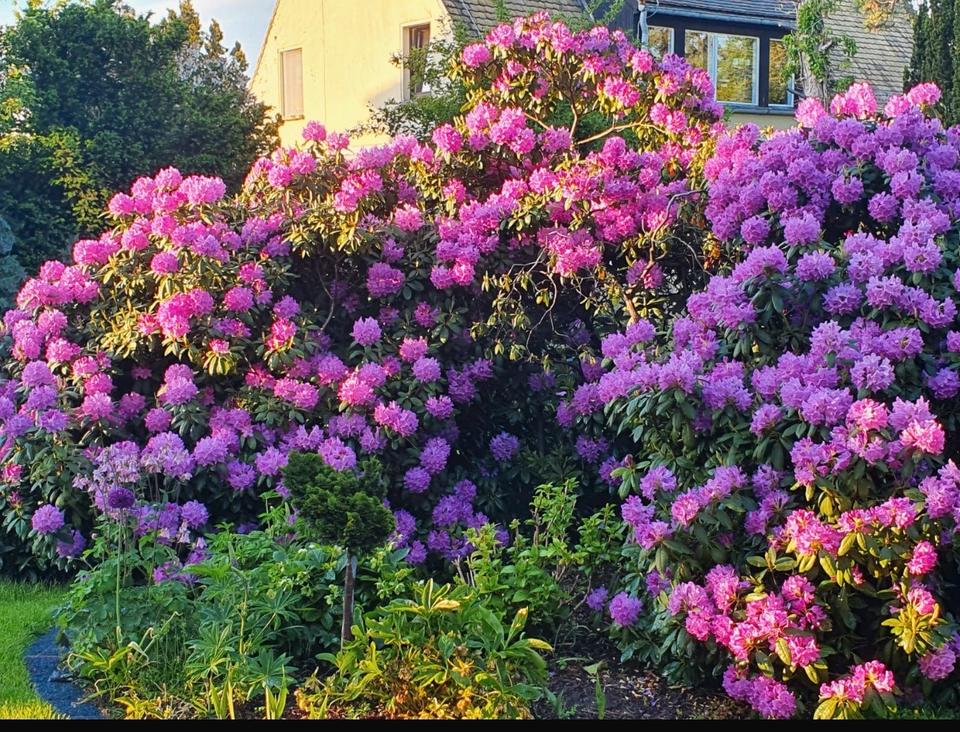 Thumbnail-Doppelhaus mit 1220m² Grundstück Tiefgarage Klinkerfassade