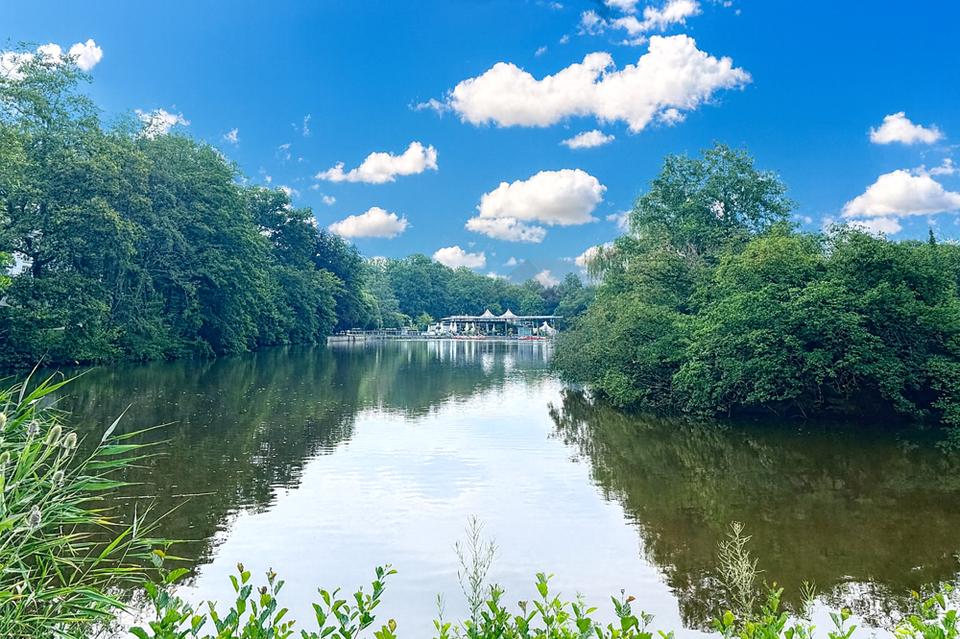 Thumbnail-Ideal für Senioren - Barrierefreie 2-Raum-Wohnung am Pelzmühlenteich mit EBK & sonnigem Balkon