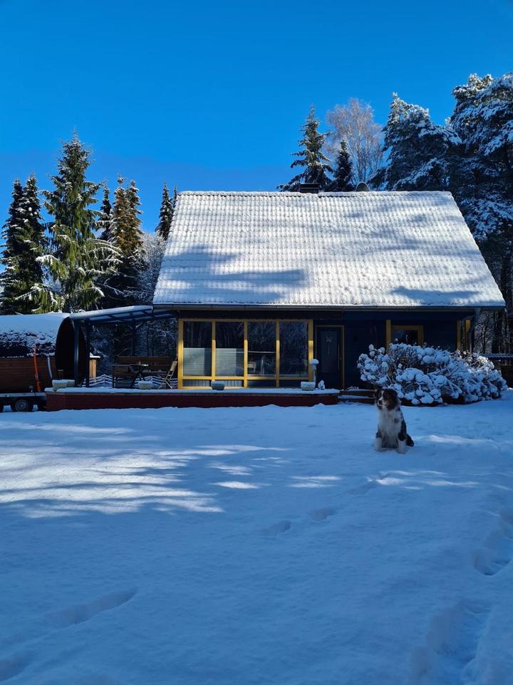 Thumbnail-Ferienhaus am Wald - Wulsbüttel Urlaub mit Hund Hundeurlaub