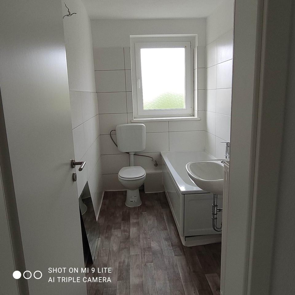 Thumbnail-Renovierte 4 ZKB in Elsteraue OT Profen