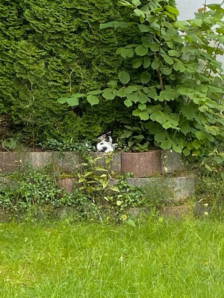 Thumbnail-EFH (Provisionsfrei, letzte Chance)