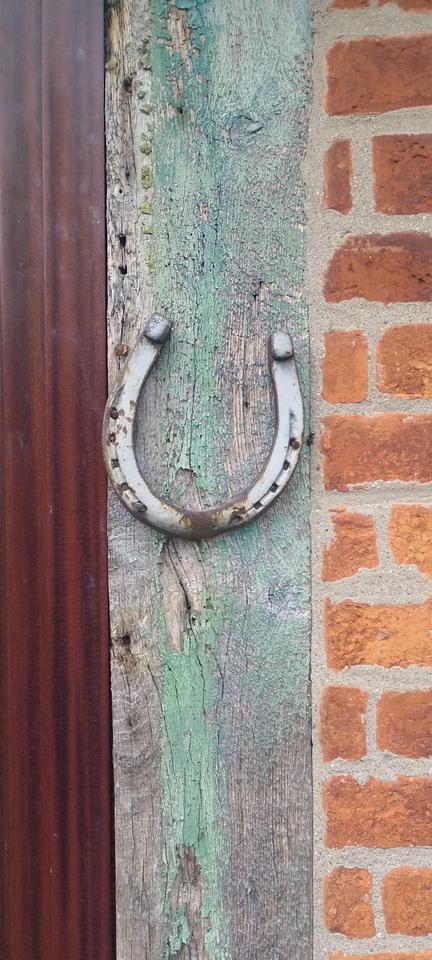 Thumbnail-Waldorf Wohnung