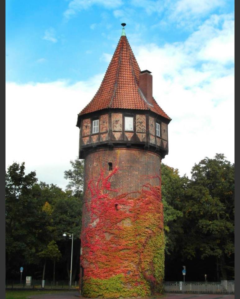 Thumbnail-Zwischenmiete Hannover Südstadt – 2 Zimmer, teilmöbliert