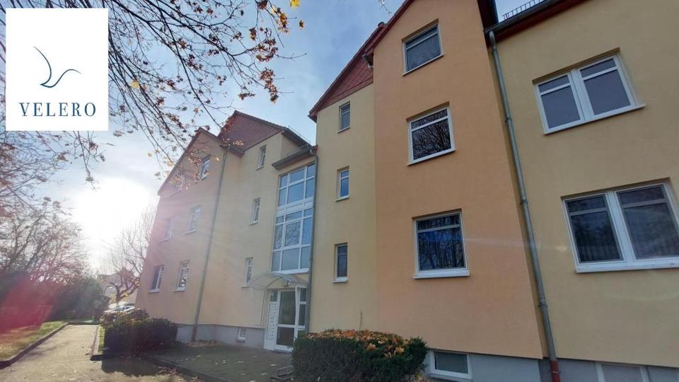 Thumbnail-Alles neu Renovierte große 2 Zimmerwohnung ab 1.Februar 2026 beziehbar!