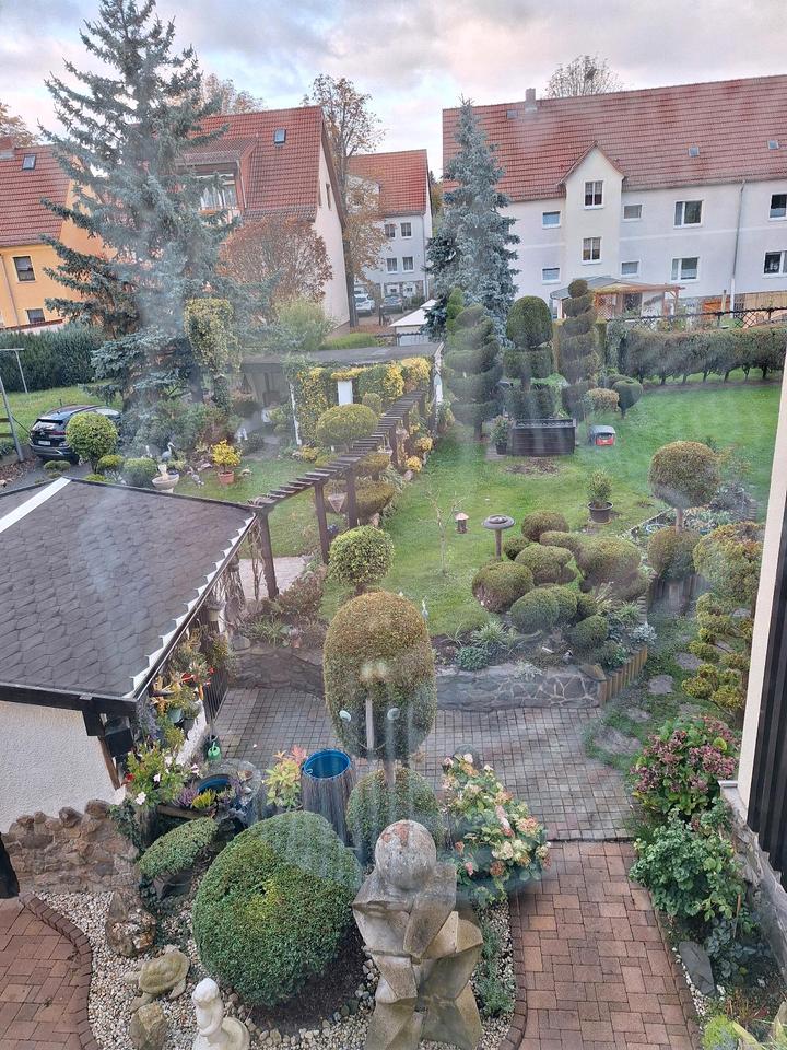 Thumbnail-2 Zi.- WE in Neustadt Orla