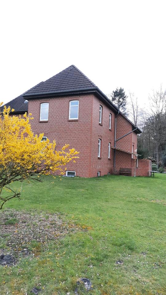 Thumbnail-3-Zimmer Wohnung zu vermieten in Bommelsen