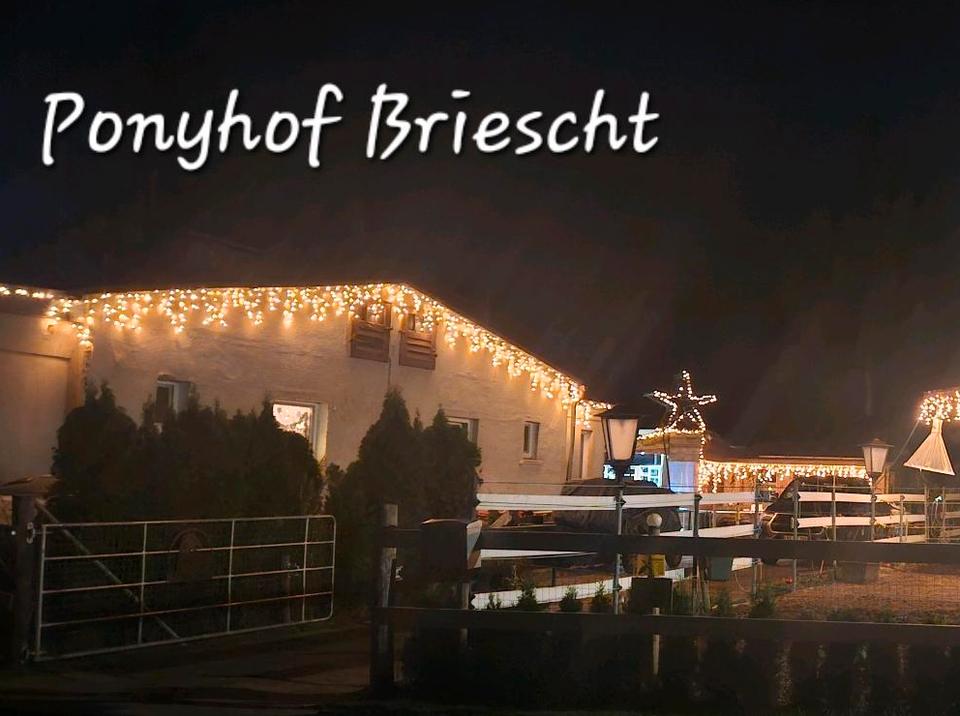 Thumbnail-4 Raum Wohnung in Briescht ca. 120qm