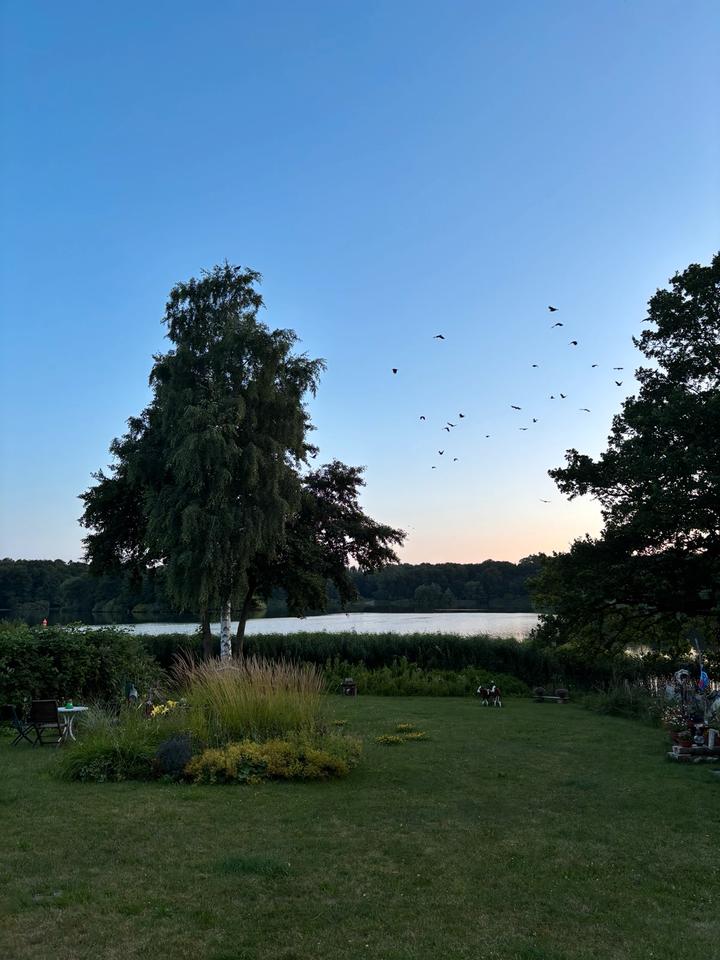 Thumbnail-Charmante 2,5 Zimmerwhg. am Bordesholmer See