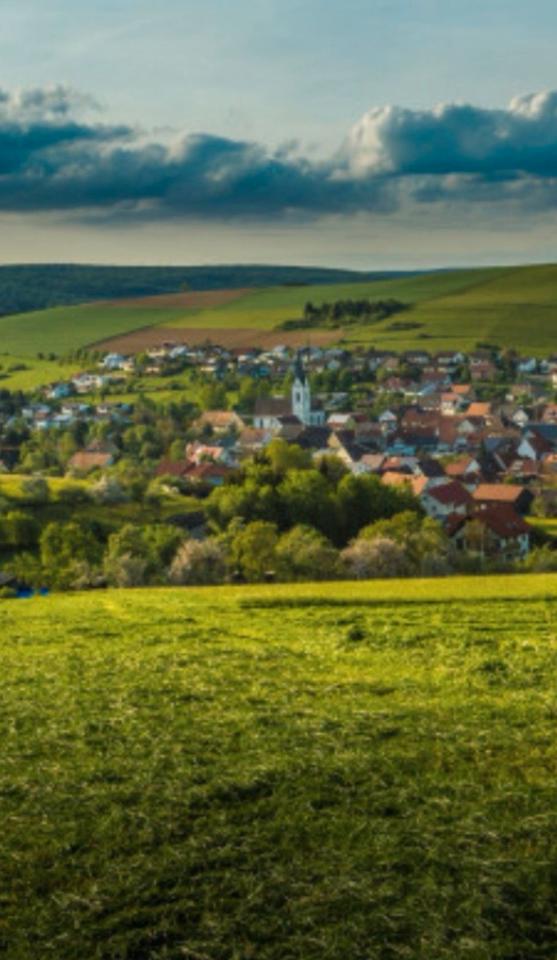 Thumbnail-Haus in Gutmadingen zu verkaufen