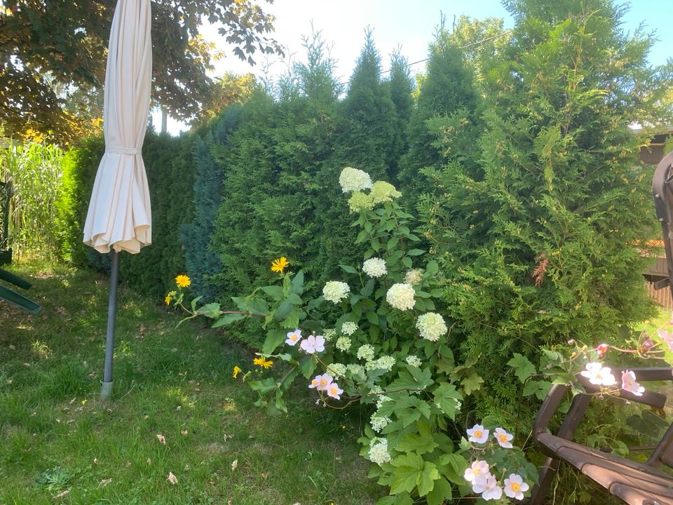 Thumbnail-Pachtgrundstück mit Wohnwagen in Paulsdorf-Campingplatz