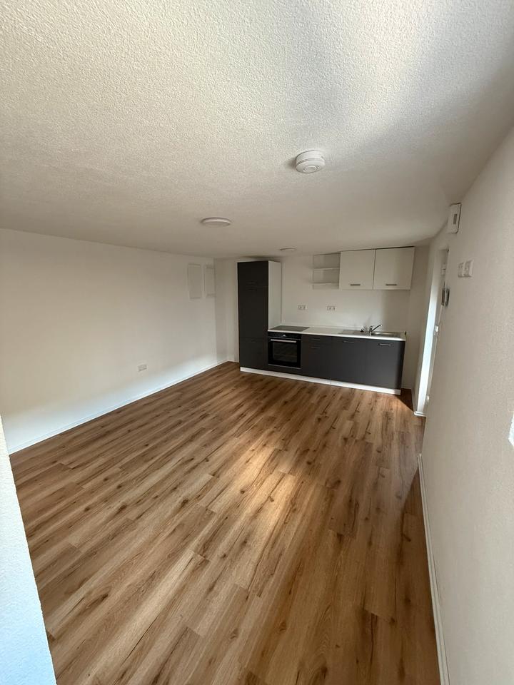 Thumbnail-Moderne 2 Zimmer Wohnung in Bad Rappenau Heinsheim mit EBK