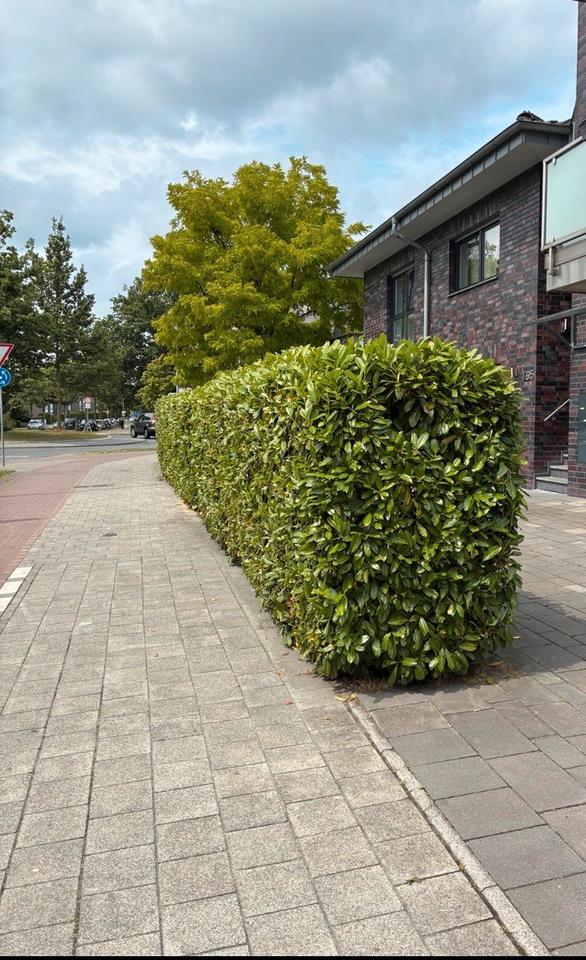 Thumbnail-Sofort einziehen, barrierefreie Wohnung zu verkaufen