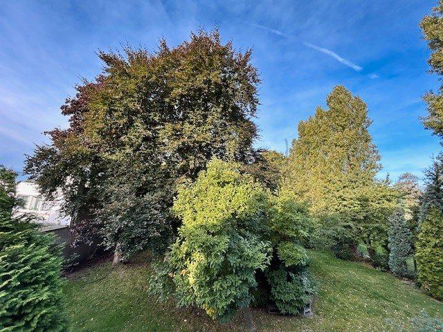 Thumbnail-2,5 Raum-Wohnung mit Balkon zu vermieten