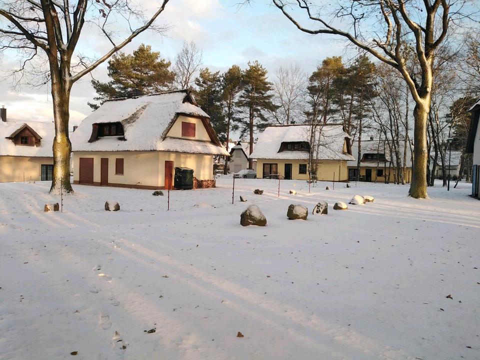 Thumbnail-Ferienhaus mit Sauna