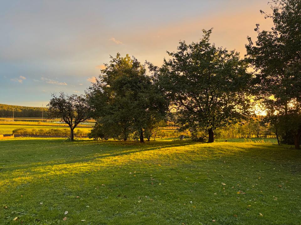 Thumbnail-Mietwohnung