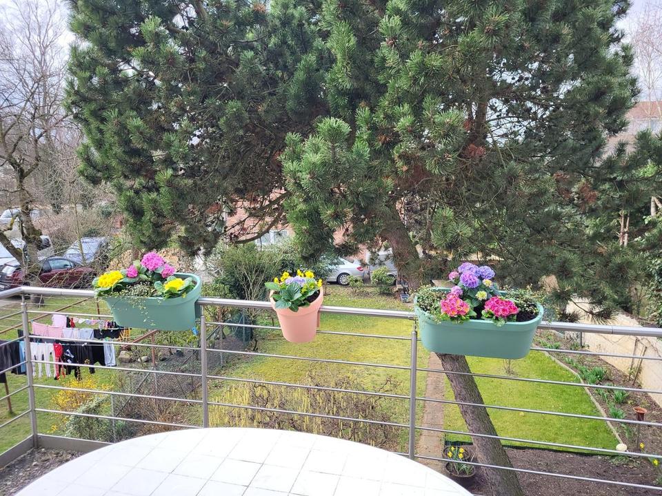 Thumbnail-3-Zi Wohnung, EBK, Balkon, Garten