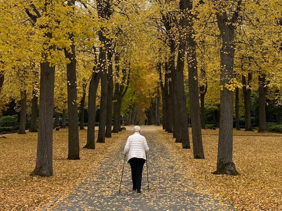 Thumbnail-✅ Wohnung f. hilfsbereite Mitbewohnerin respektvolles Miteinander