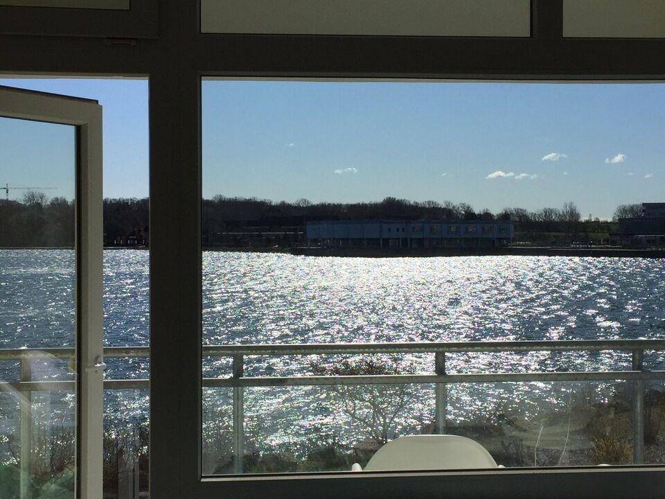 Thumbnail-Ferienwohnung Heiligenhafen Meer Ostsee Hund