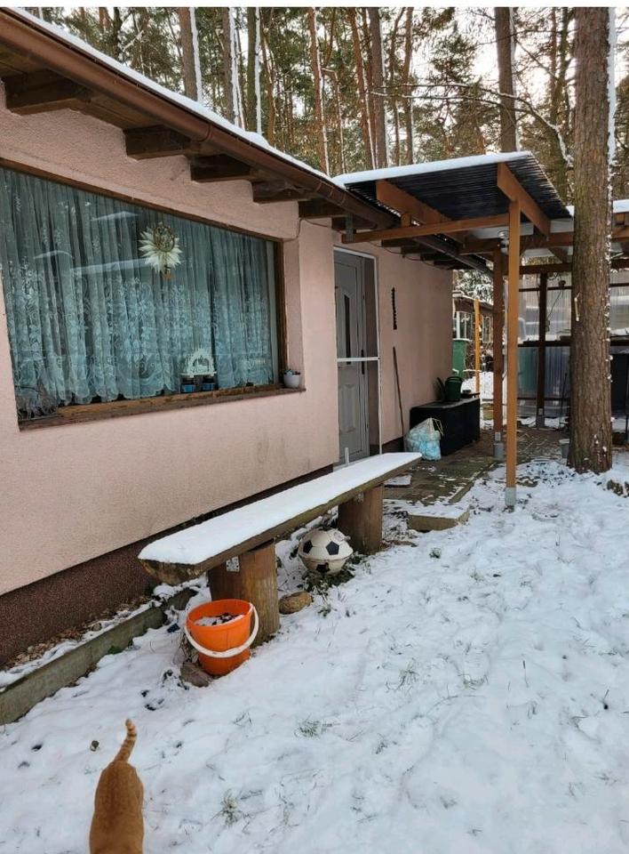 Thumbnail-Charmanter Bungalow im Grünen Dübener Heid– Ruhe, Natur & Komfort