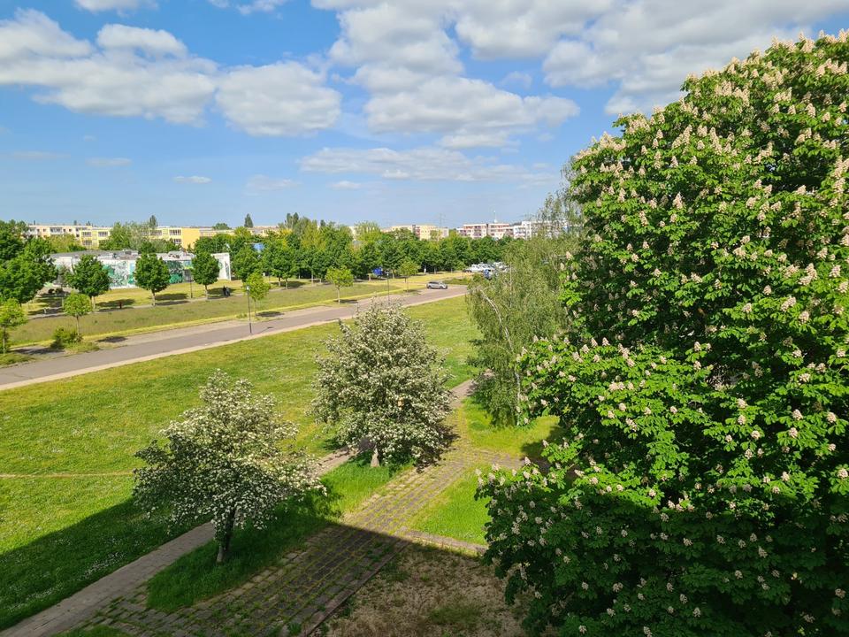 Thumbnail-Willst Du viel...., zieh bei uns ein!!!