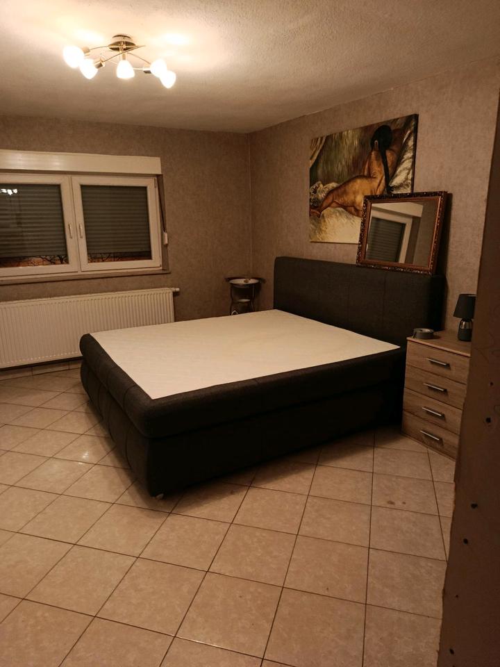 Thumbnail-2 ZKB Ludwigshafen friesenheim