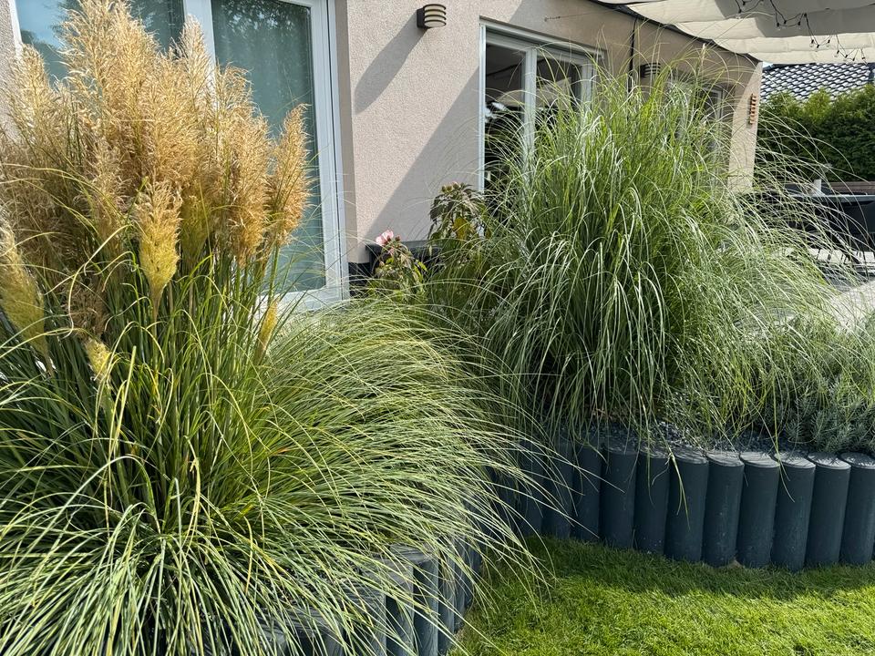 Thumbnail-Stilvolles Wohnen in Bestlage – moderne Stadtvilla