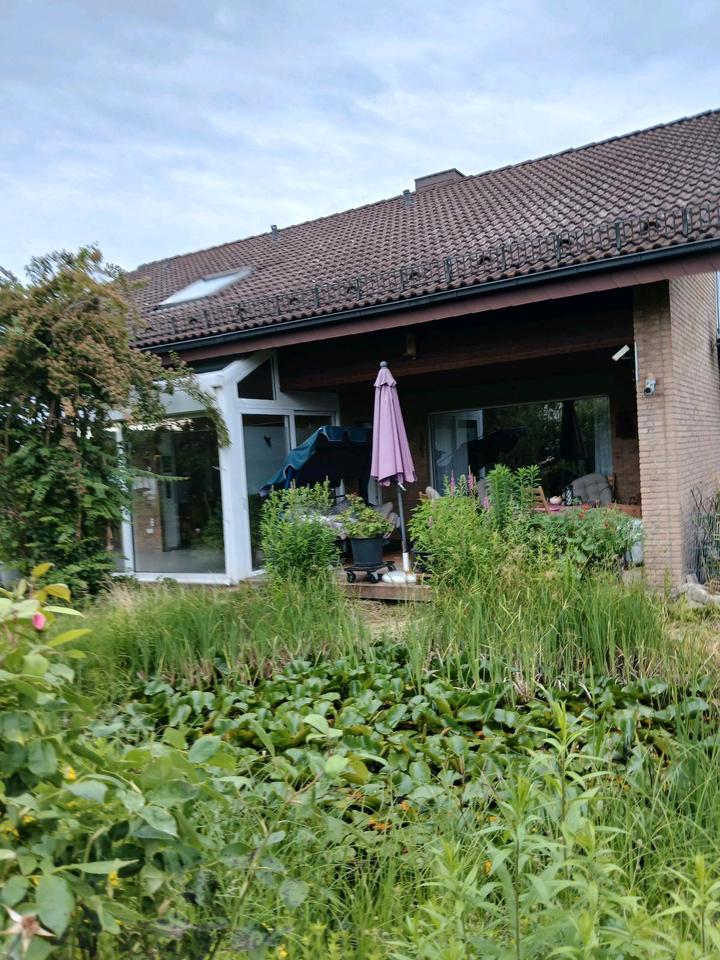 Thumbnail-Einfamilienhaus mit ELW in Saulheim