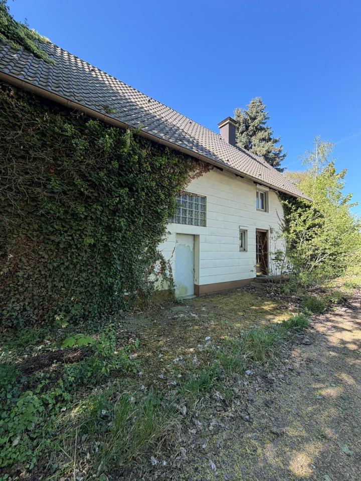 Thumbnail-EINFAMILIENHAUS MIT LOFTCHARAKTER