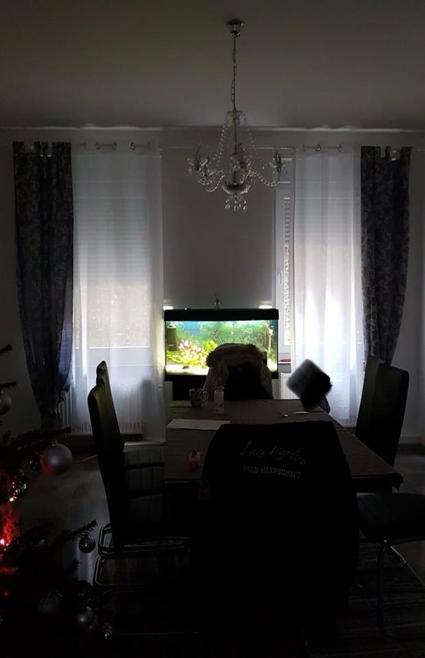 Thumbnail-Einfamilienhaus