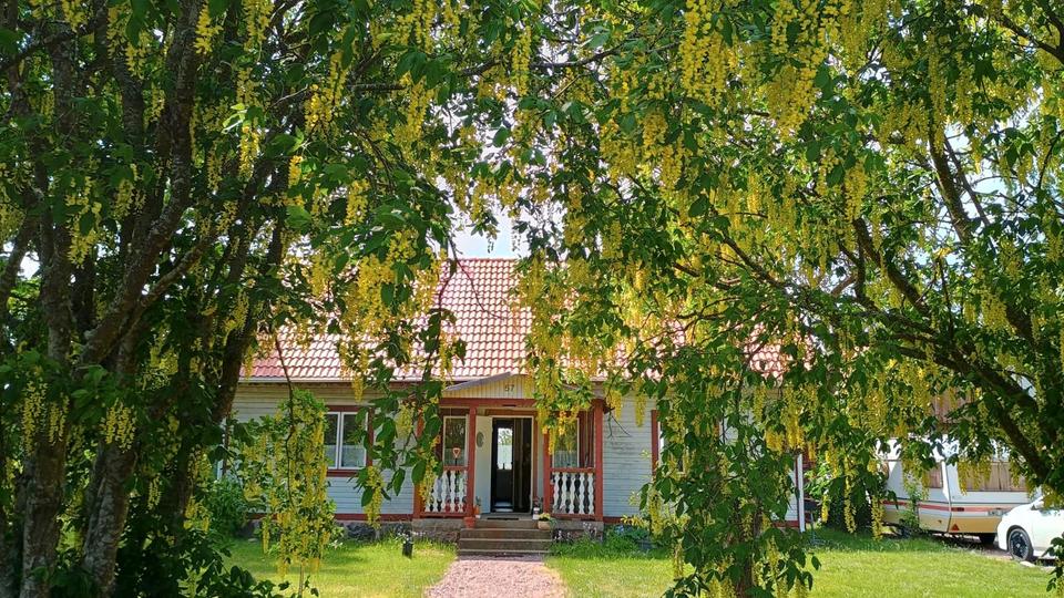 Thumbnail-Schweden: charmantes Wohn-Ferienhaus