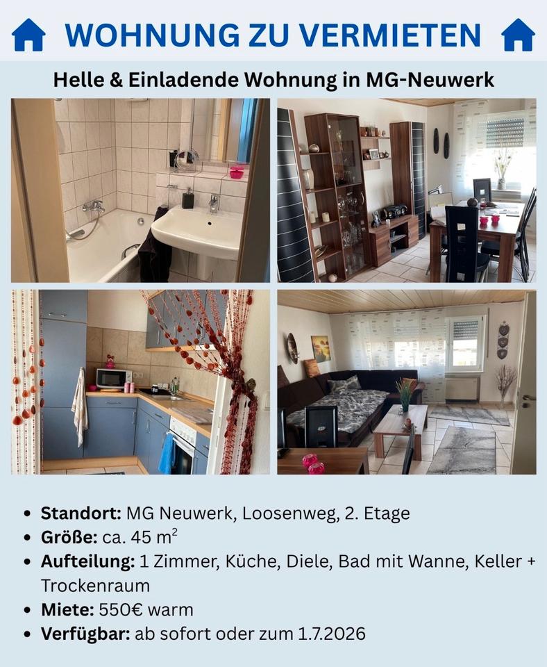Thumbnail-Wohnung in MG Neuwerk zu vermieten (1.7.26 oder früher)
