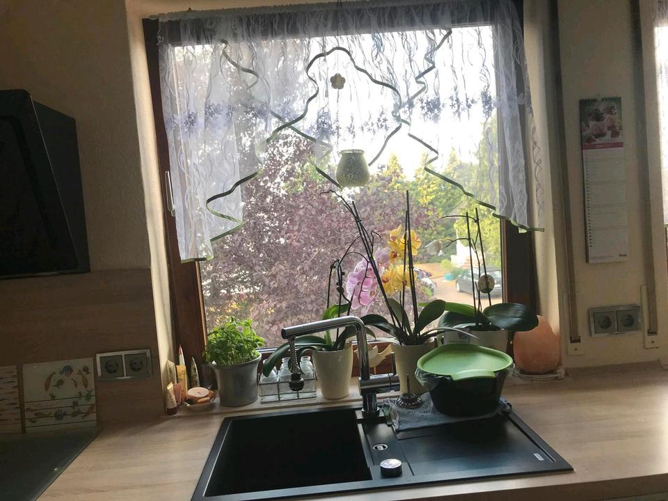 Thumbnail-3 Zimmer-Wohnung zu vermieten