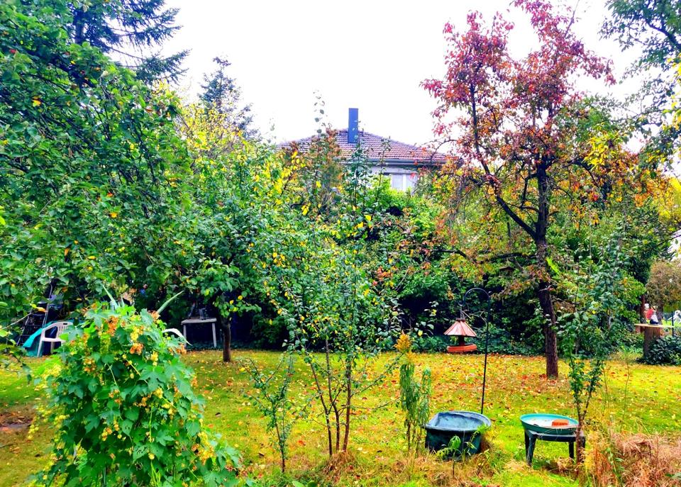Thumbnail-Großer Garten mit dreistöckigem Haus an Trabrennbahn Mariendorf