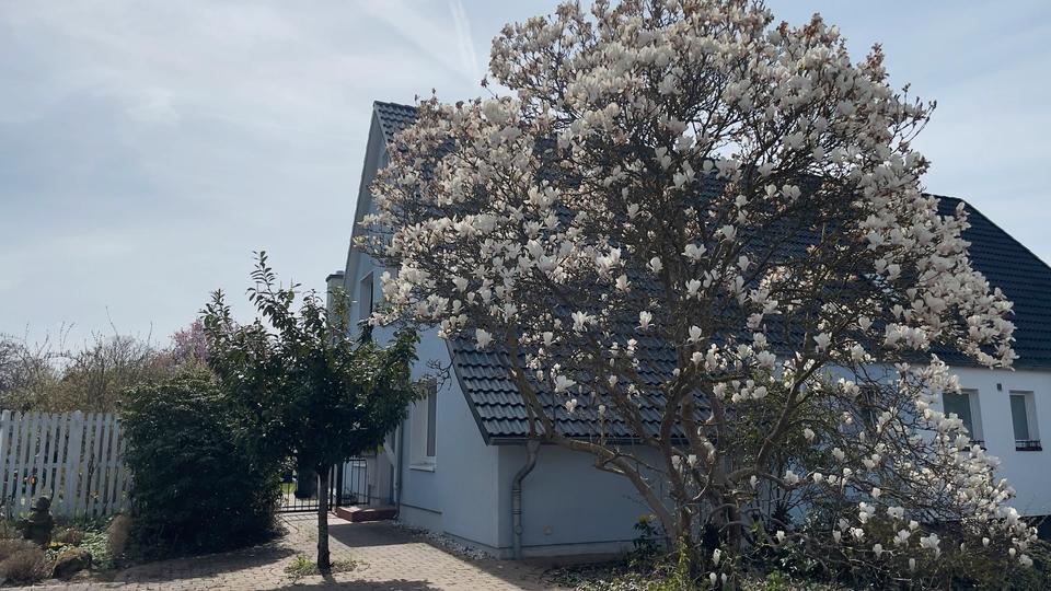 Thumbnail-Schöne Doppelhaushälfte Isernhagen (Neuwarmbüchen) zu vermieten