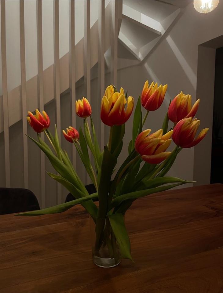 Thumbnail-Mittelreihenhaus in zentraler Lage von Buchholz zu vermieten