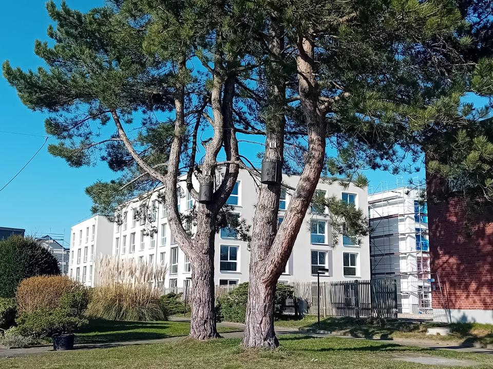 Thumbnail-Erstbezug! Dein All-in-Space für Studium & Ausbildung in Jülich.