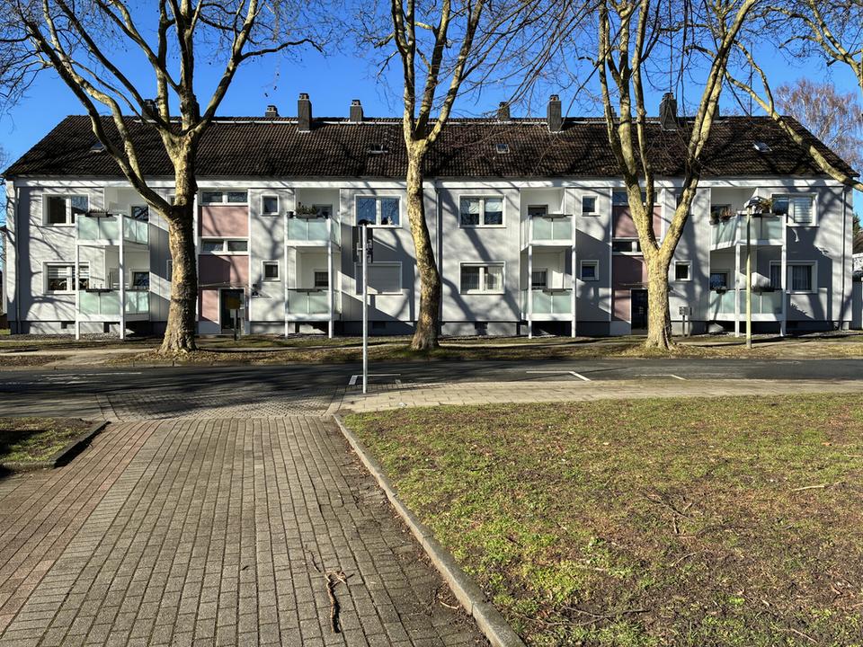 Thumbnail-Bringen Sie Ihr Herz mit, es wird sich wohlfühlen!