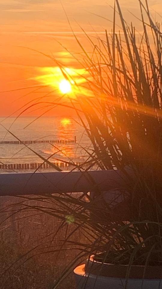 Thumbnail-❤️❤️FerienwohnungFerienhaus auf Usedom,in Zempin an der Ostsee❤️